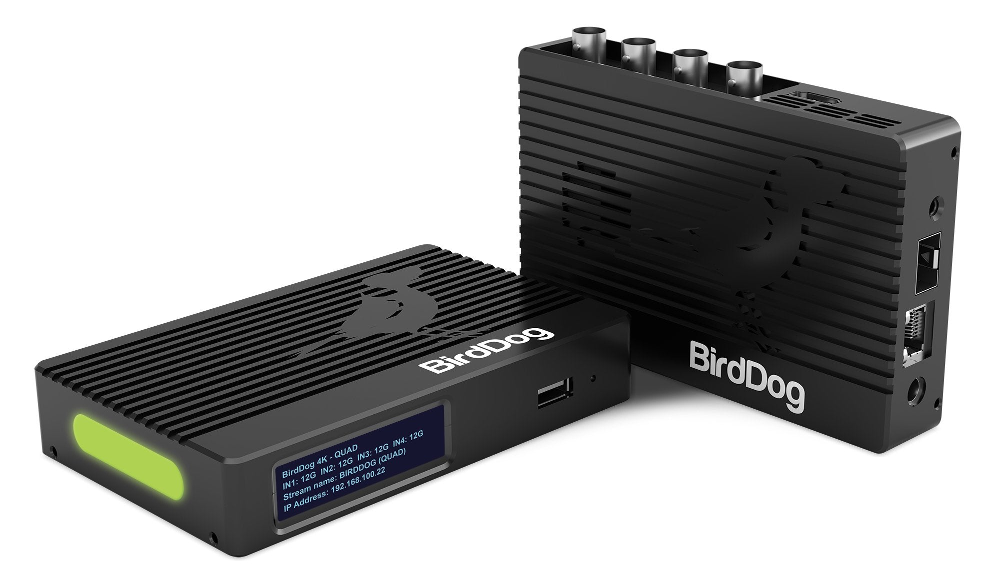 BirdDog 4K Quad NDI Encoder/Decoder